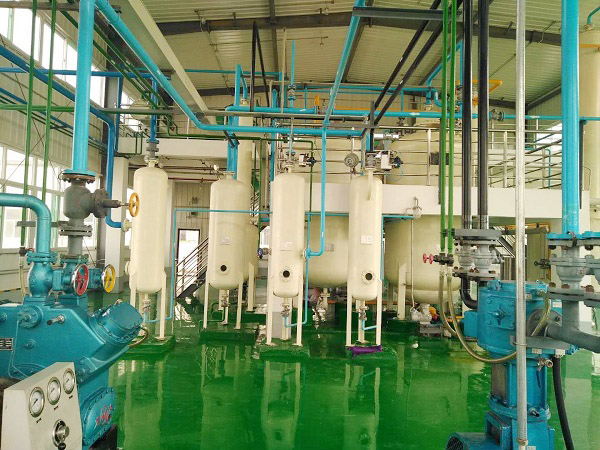 Low temperature extraction peony seed oil equipment