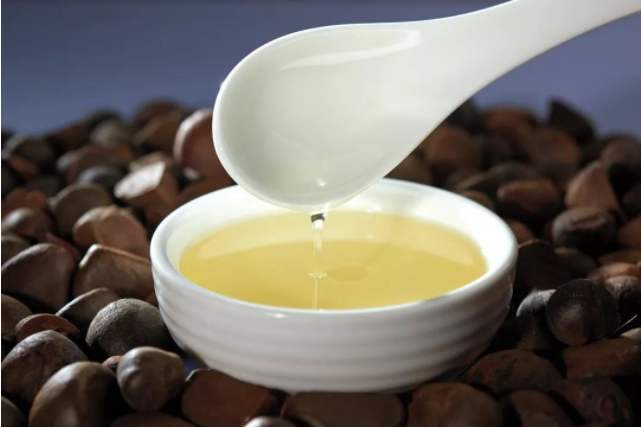 精炼山茶油