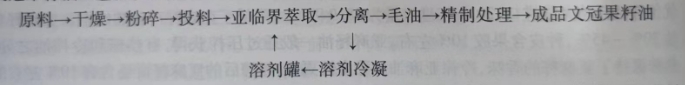 亚临界萃取文冠果工艺